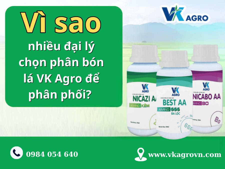 Đại lý phân bón lá VK AGRO