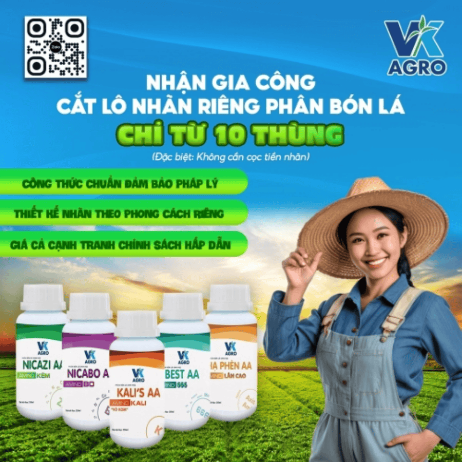 Đại lý phân bón lá VK AGRO