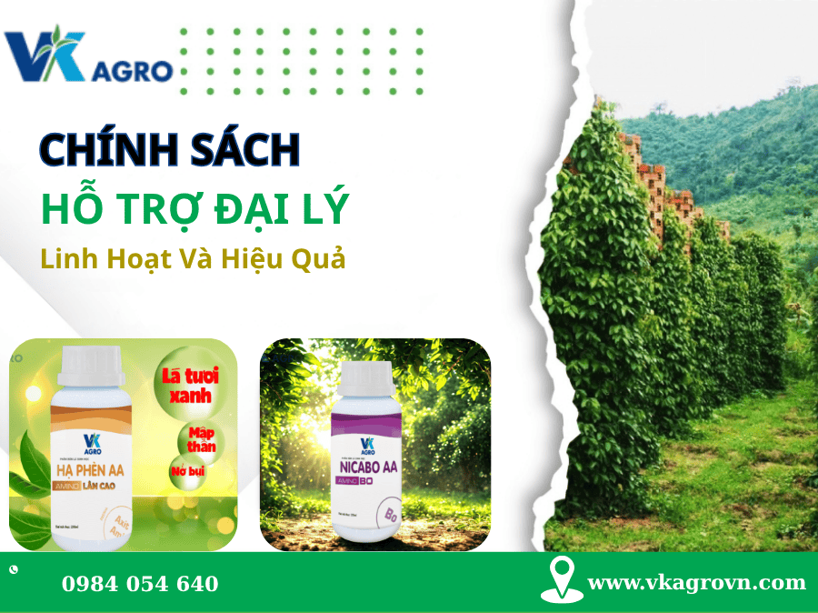 Đại lý phân bón lá VK AGRO