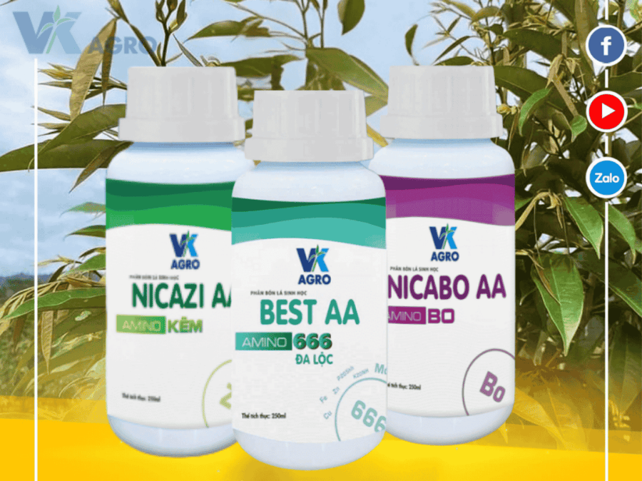 Địa Chỉ Cung Cấp Phân Bón Lá Chính Hãng Tại Tây Nguyên & Miền Tây