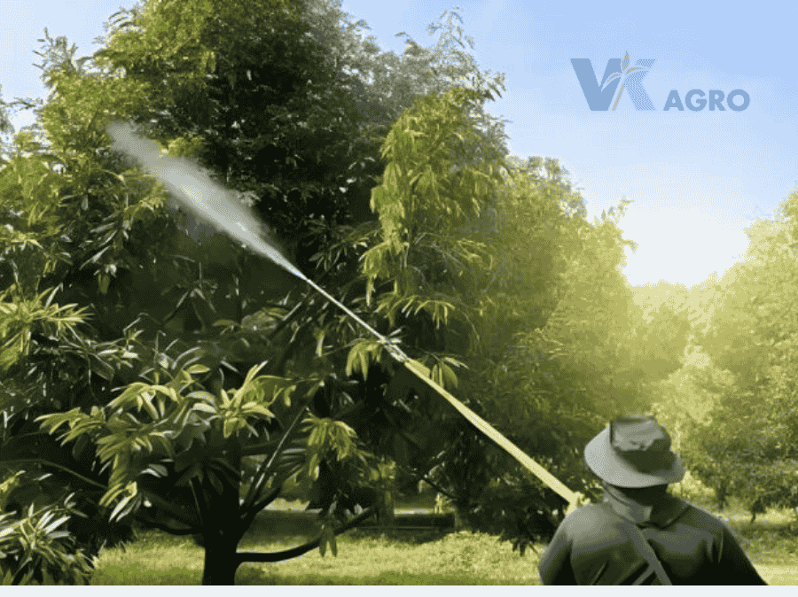 Bệnh Thối Trái Sầu Riêng Nguyên Nhân Và Thuốc đặc Trị mới nhất 2025