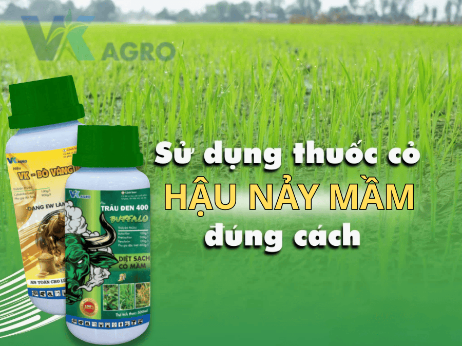 Cách Phun Thuốc Cỏ Hậu Nảy Mầm