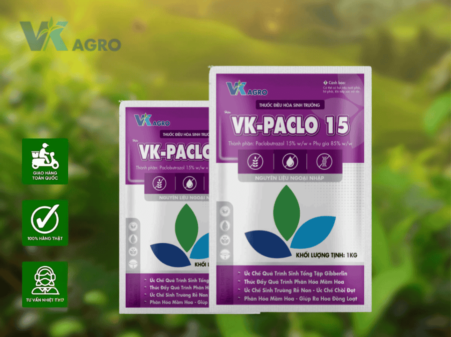 Giải pháp giúp cây trồng thích ứng thời tiết thất thường