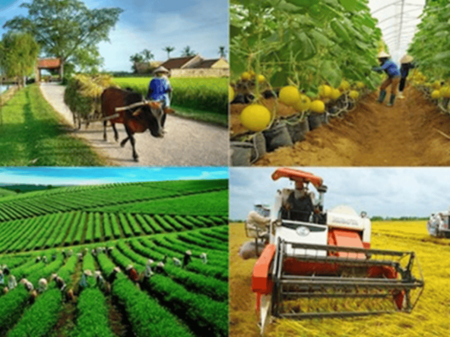 Giải pháp giúp cây trồng thích ứng thời tiết thất thường