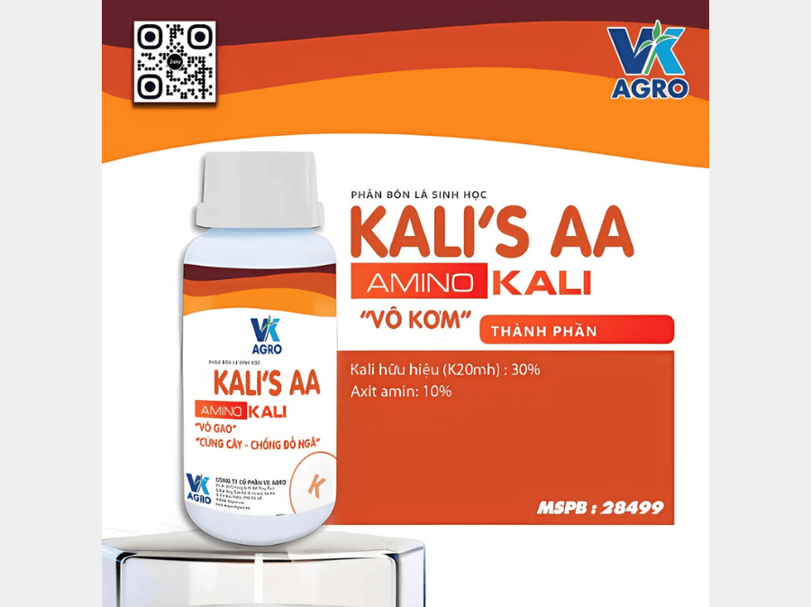 Giai đoạn vô gạo trên lúa 