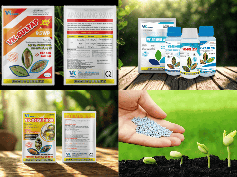 Hạn Bà Chằn Là Gì? Bí Quyết Bảo Vệ Mùa Vụ Hiệu Quả Từ VK Agro