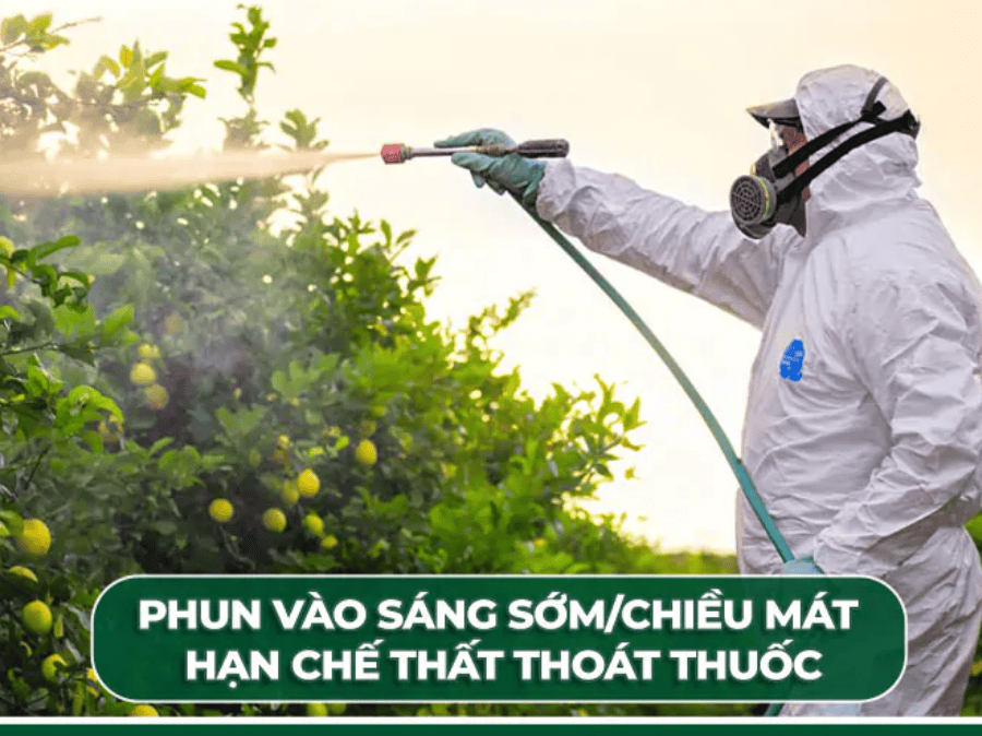 Lưu ý khi sử dụng thuốc trư sâu để đạt hiệu quả cao nhất