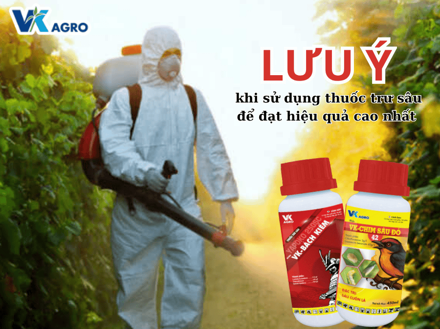 Lưu ý khi sử dụng thuốc trư sâu để đạt hiệu quả cao nhất