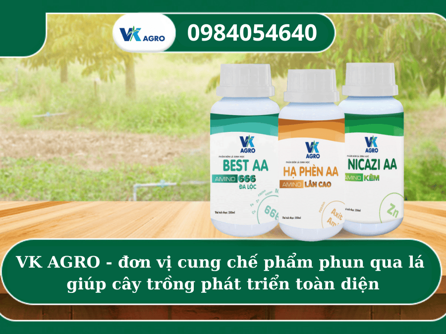 Mua phân bón lá ở đâu uy tín