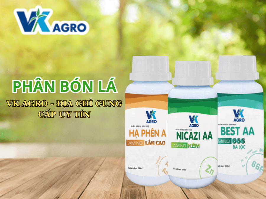 Mua phân bón lá ở đâu uy tín