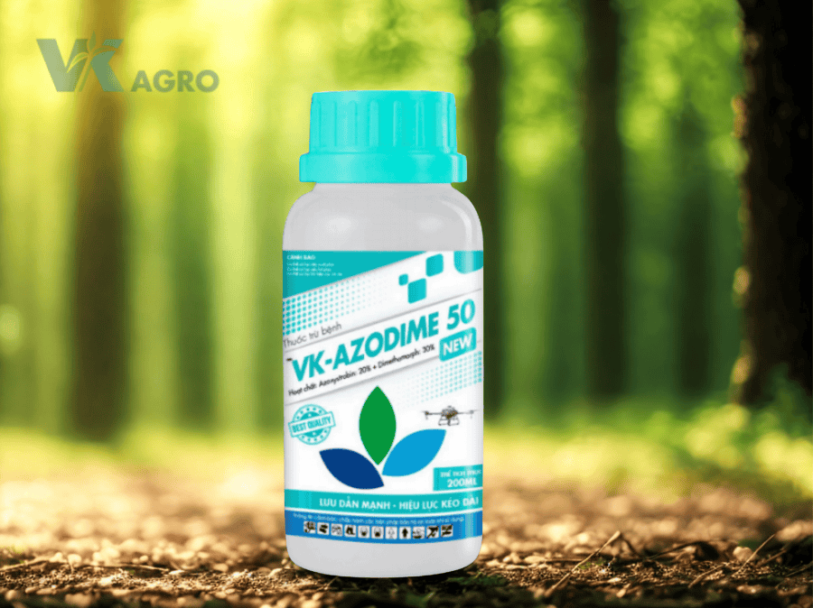 Nấm Phytophthora là gì? Biện pháp phòng trừ hiệu quả mới nhất 2025