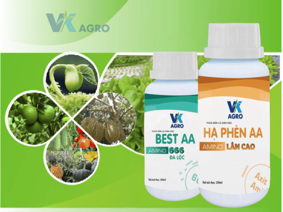 Phân Bón Lá Cho Cây Ăn Trái – Bí Quyết Cây Xanh Tốt