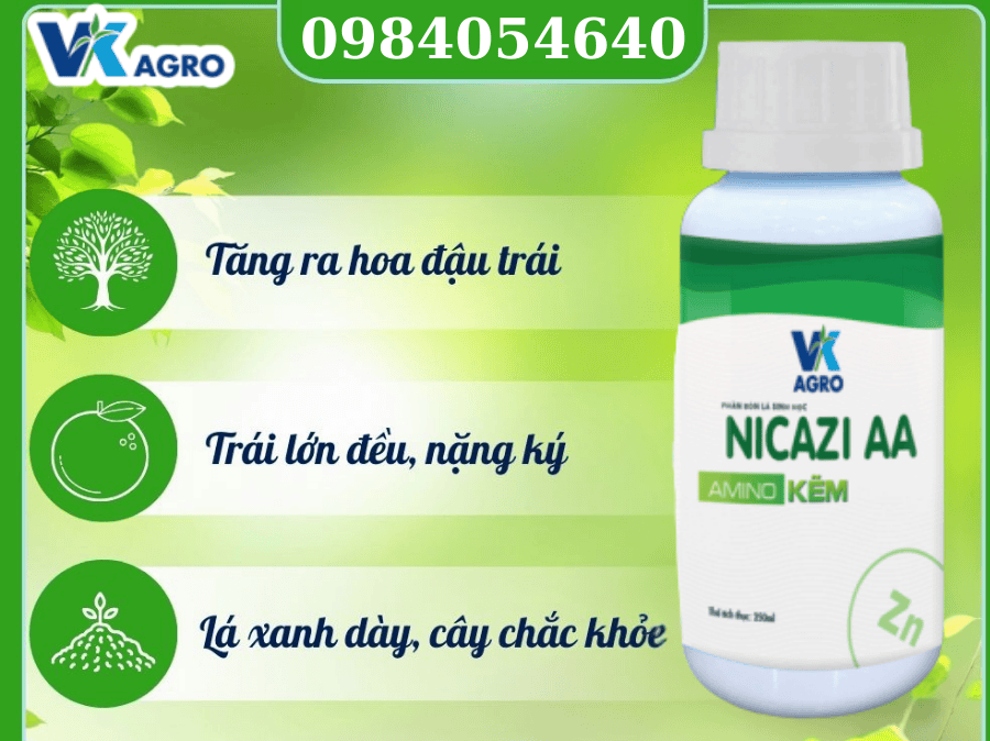 Phân Bón Lá Cho Cây Ăn Trái – Bí Quyết Cây Xanh Tốt