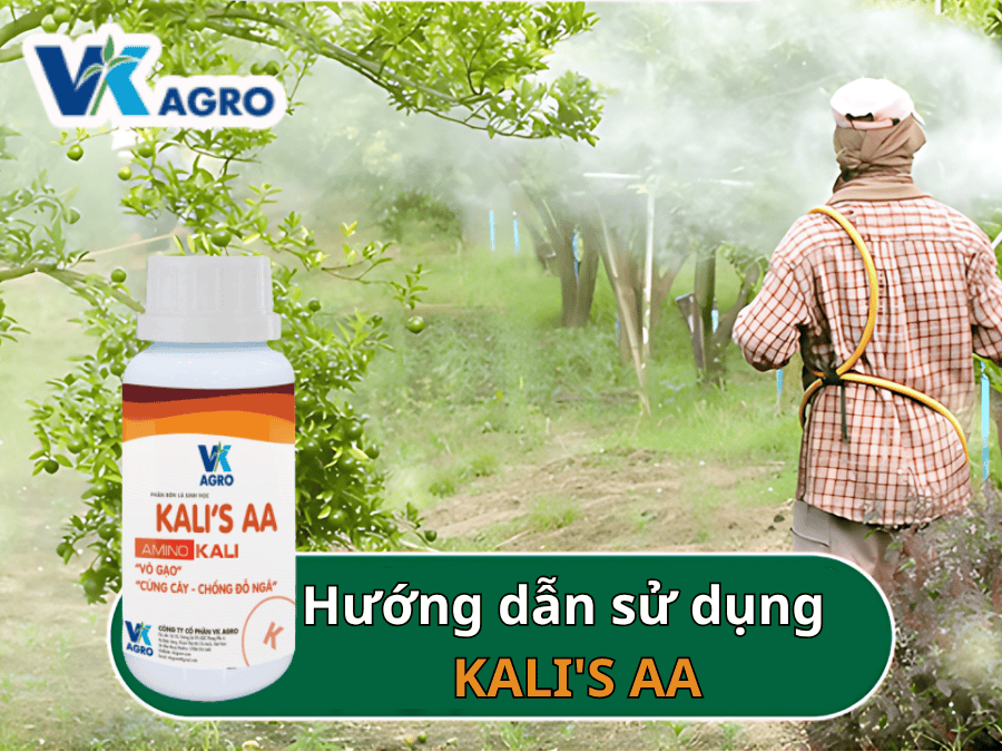 Phân Bón Lá KALI'S AA