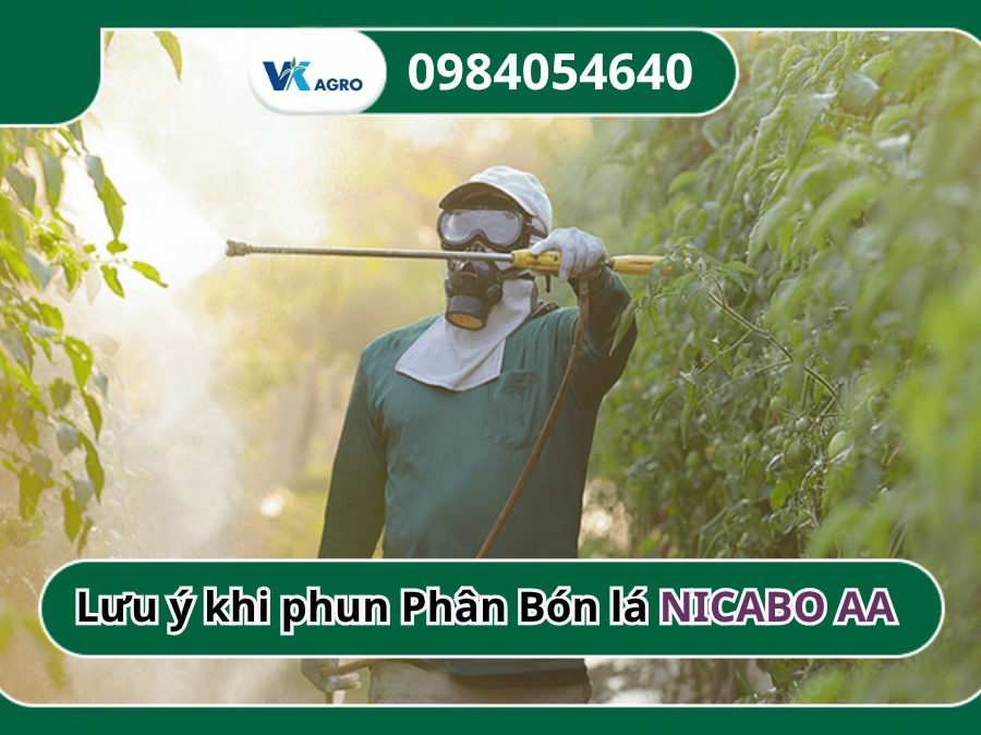 Phân Bón Lá NICABO AA
