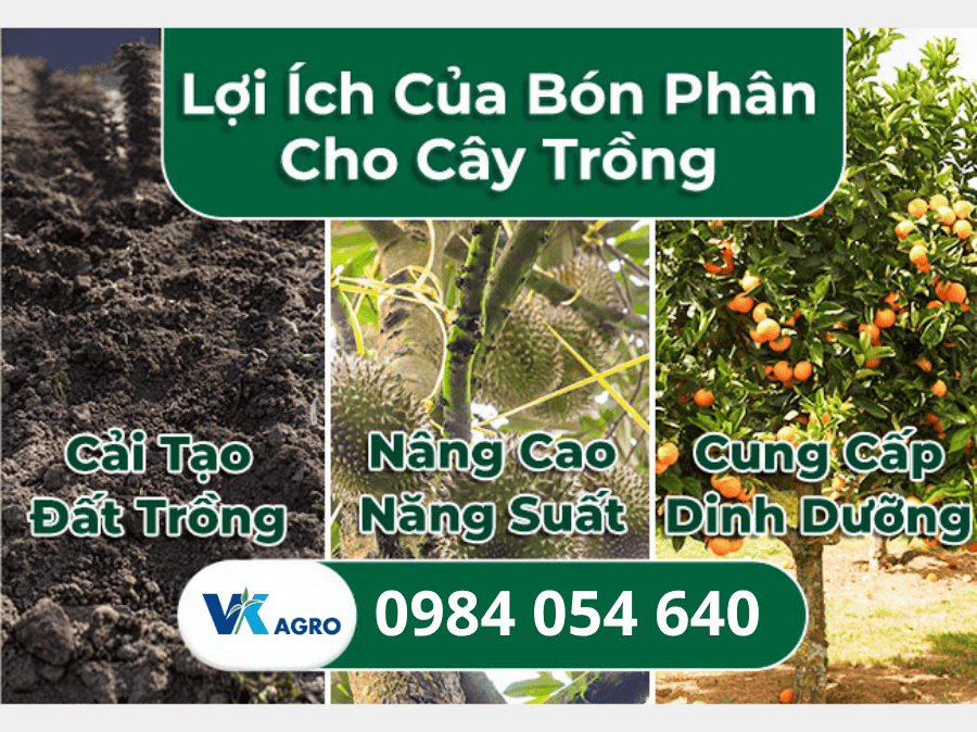 Phân Bón Lá NICABO AA