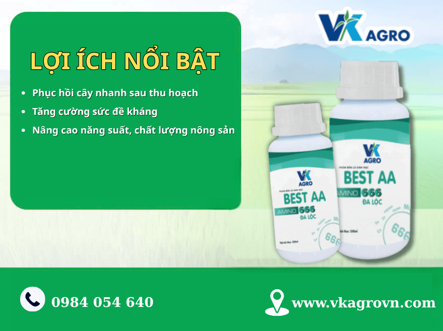 Phân Bón lá BEST AA