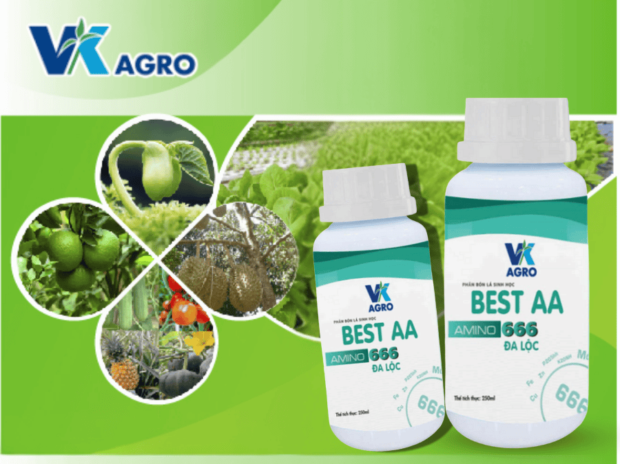 Phân Bón lá BEST AA