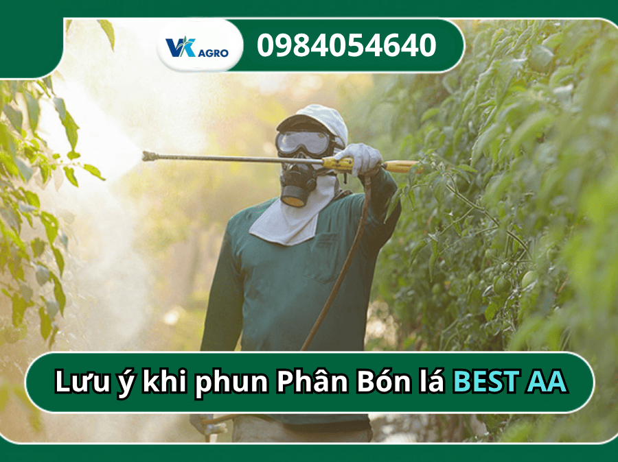 Phân Bón lá BEST AA