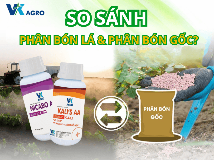 Tại sao nên dùng phân bón lá thay vì phân gốc?