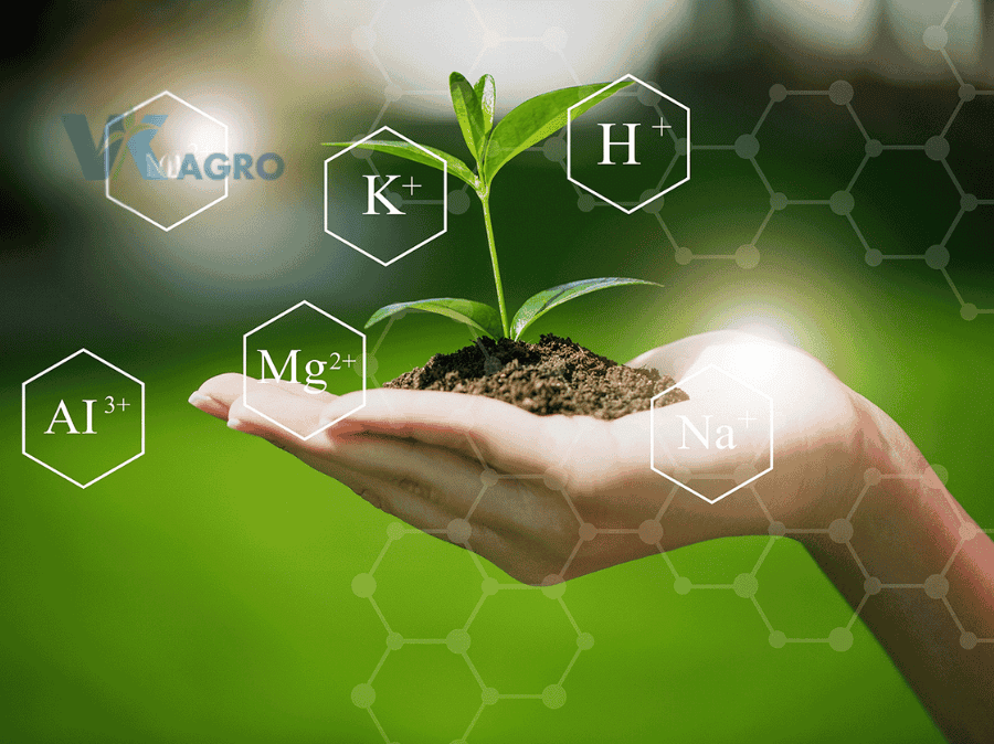 Giải pháp giúp cây trồng thích ứng thời tiết thất thường