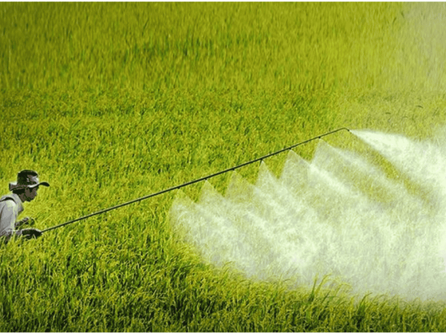 Thuốc Bảo Vệ Thực Vật – Những Vấn Đề Cần Lưu Ý Khi Sử Dụng