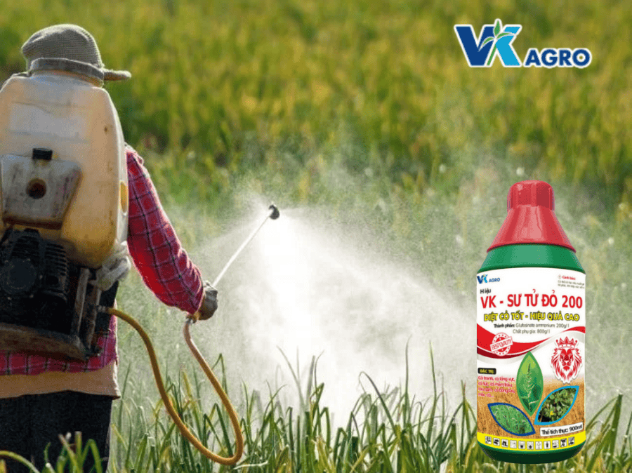 VK- SƯ TỬ ĐỎ 200