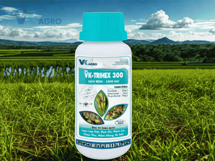 VK-TRIHEZ 300