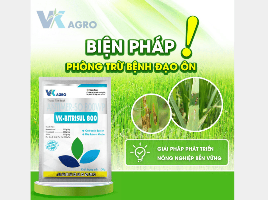 Thuốc Trị Bệnh Đạo Ôn Hiệu Quả Nhất 2025