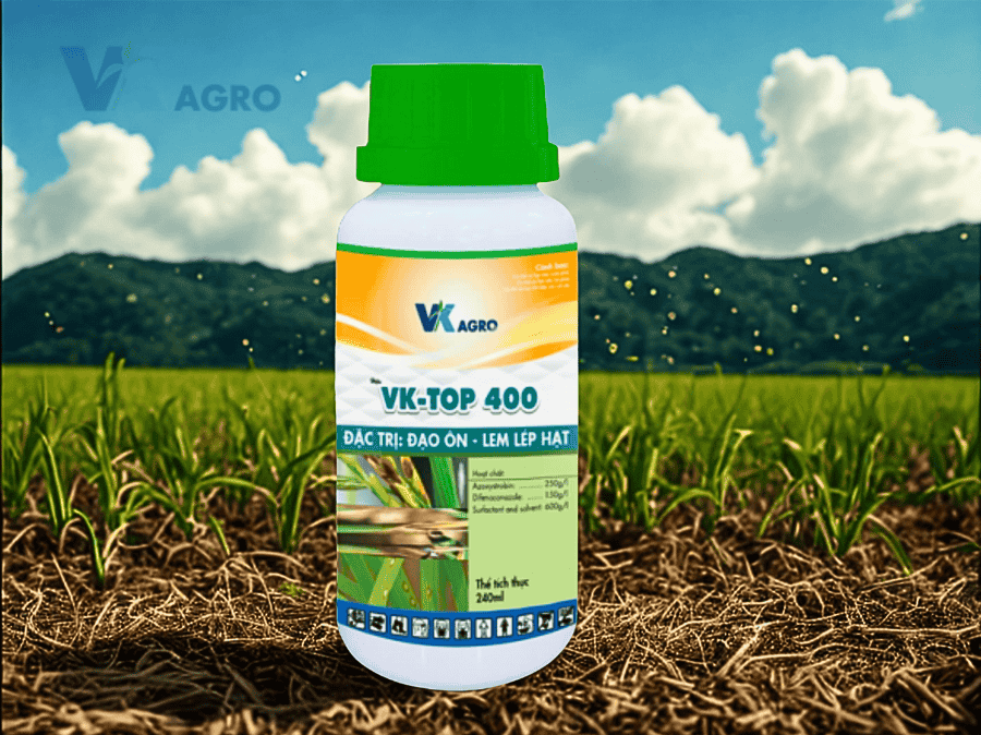 Thuốc Trị Bệnh Đạo Ôn Hiệu Quả Nhất 2025