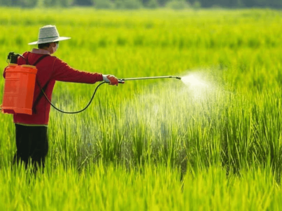 Thuốc Trừ Bệnh Nội Hấp