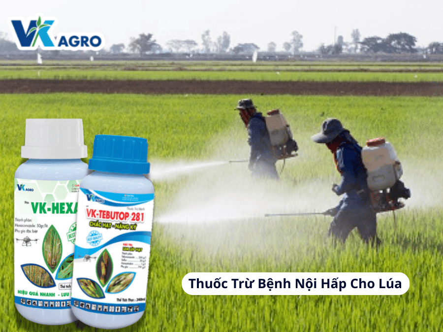 Thuốc Trừ Bệnh Nội Hấp Cho Lúa