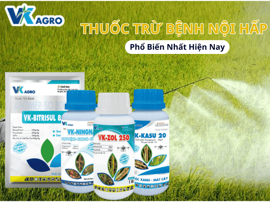 Thuốc Trừ Bệnh Nội Hấp
