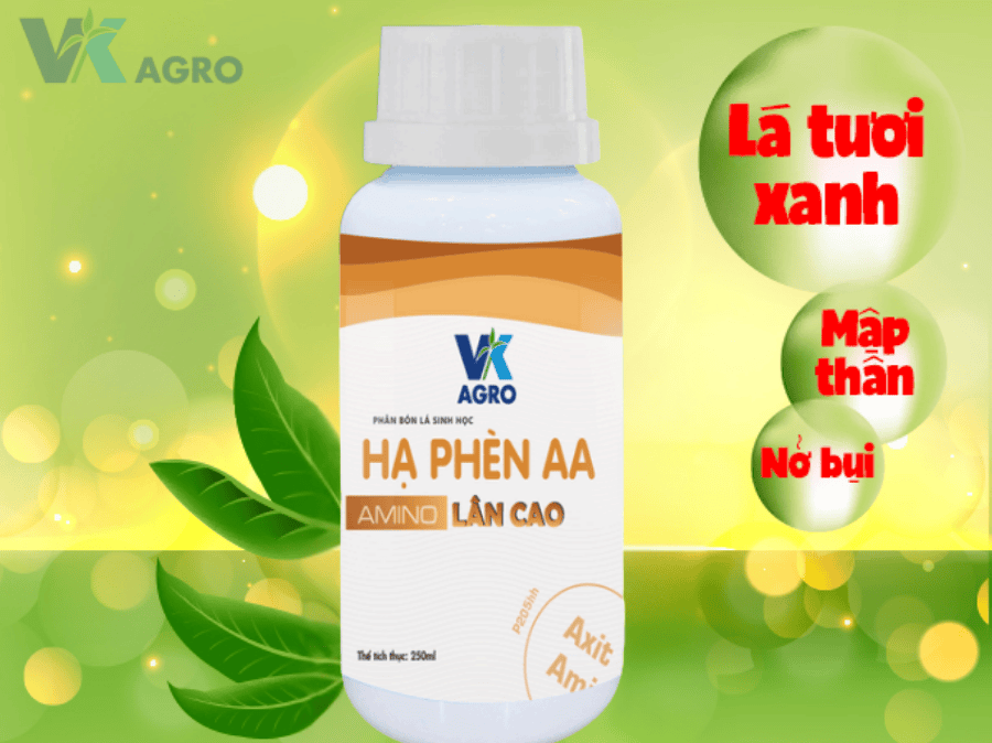 Top 5 loại phân bón lá sinh học được nông dân tin dùng năm 2025