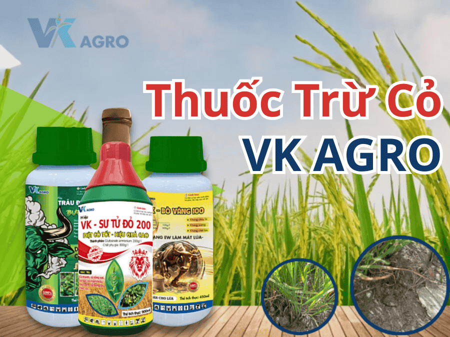 Thuốc Trừ Cỏ 2025: Các Loại Phổ Biến và Cơ Chế Diệt Cỏ Nhanh – Sạch – An Toàn