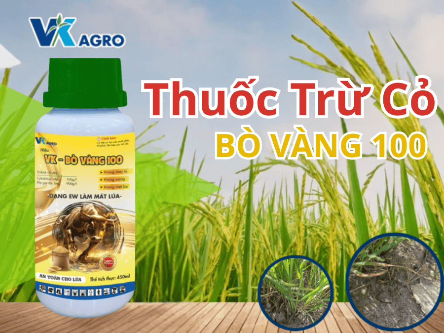 Thuốc diệt cỏ VK - BÒ VÀNG 100