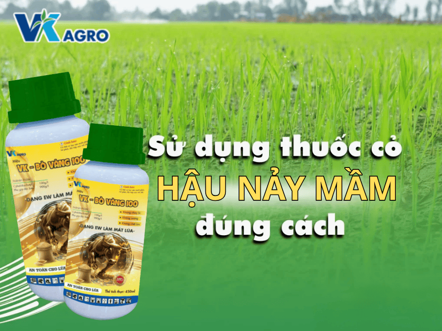 Thuốc diệt cỏ VK - BÒ VÀNG 100
