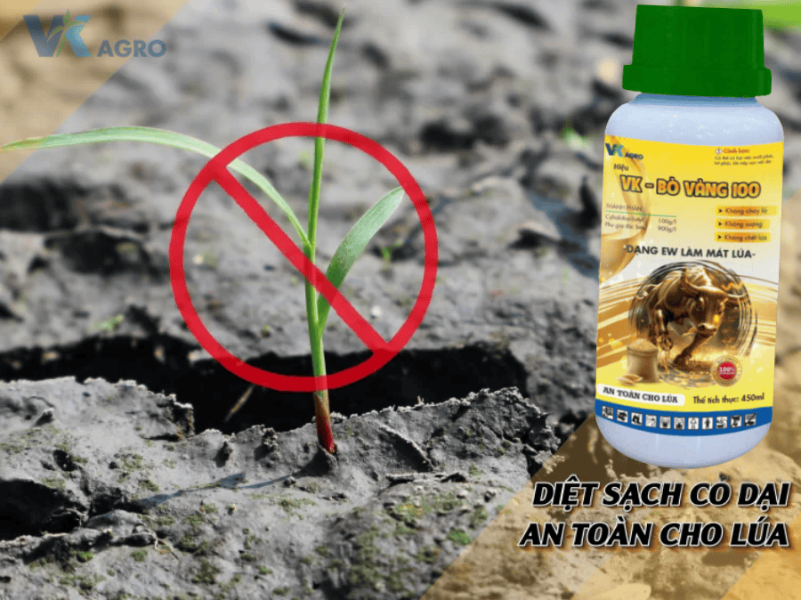 Thuốc diệt cỏ VK - BÒ VÀNG 100