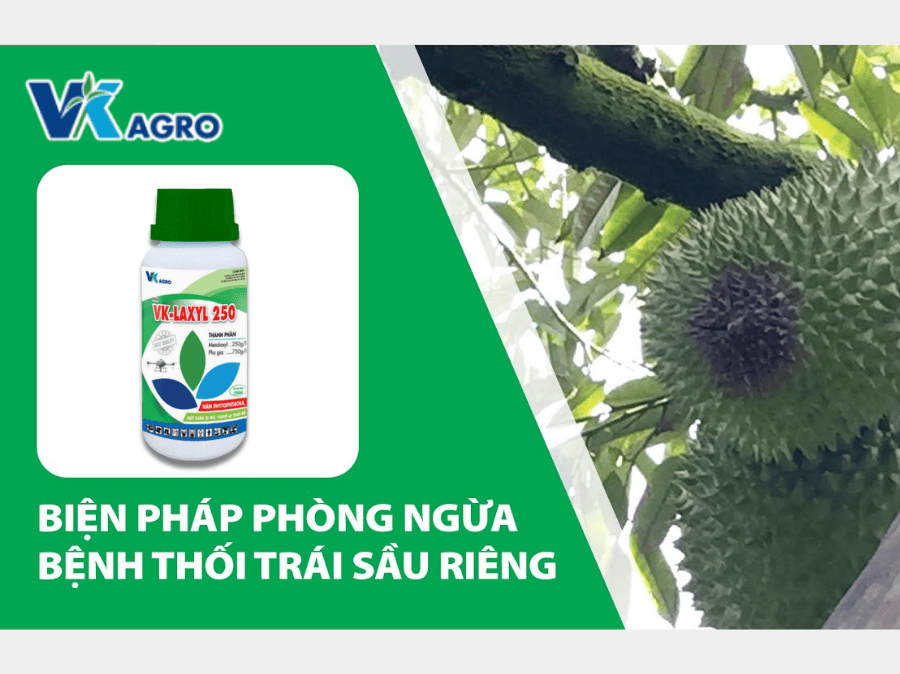 Thuốc trừ bệnh VK - LAXYL 250