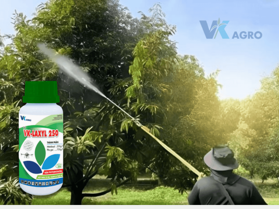 Thuốc trừ bệnh VK - LAXYL 250