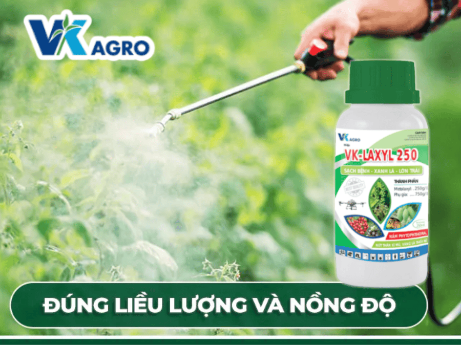 Thuốc trừ bệnh VK - LAXYL 250