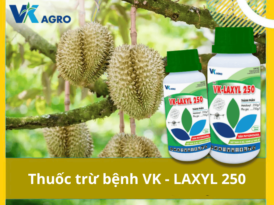 Thuốc trừ bệnh VK - LAXYL 250