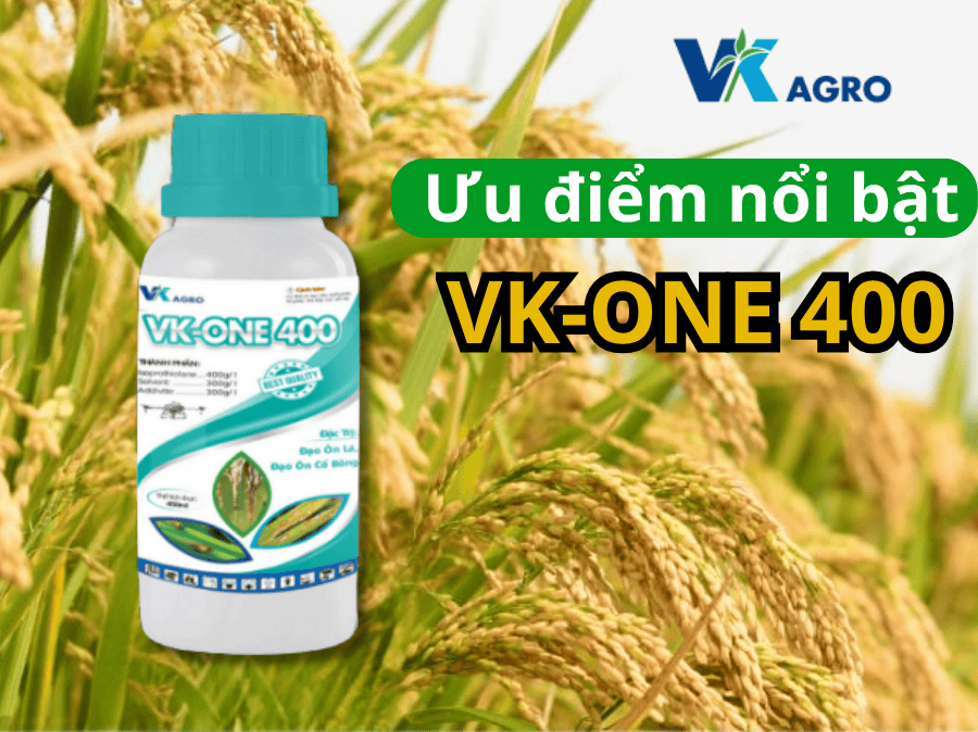 Thuốc trừ bệnh VK - ONE 400