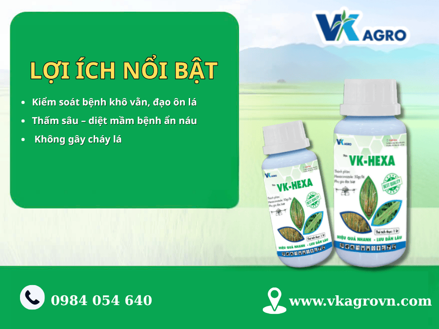 Thuốc trừ bệnh VK-HEXA
