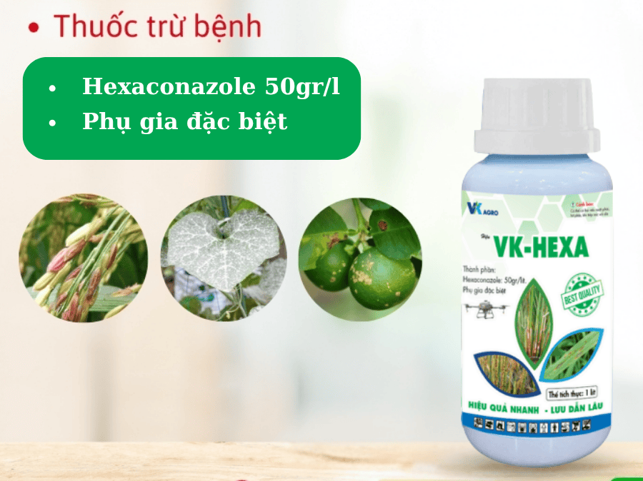Thuốc trừ bệnh VK-HEXA