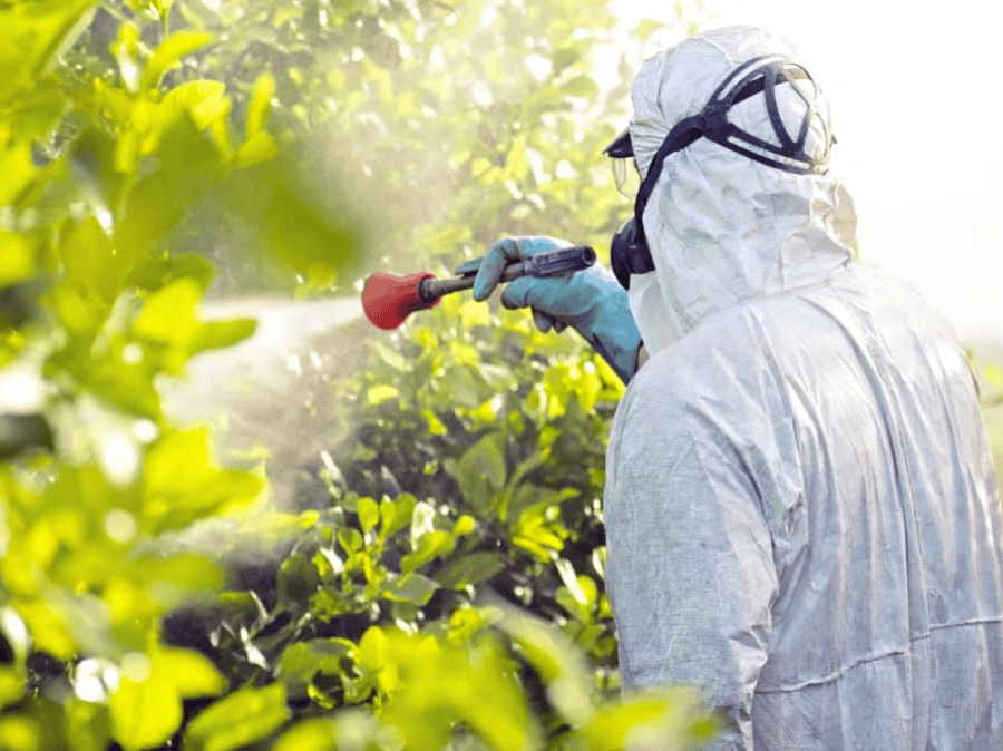 Thuốc trừ bệnh VK-HEXA