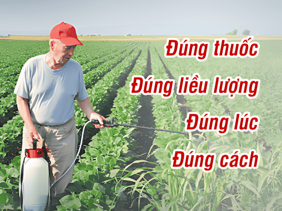 Thuốc trừ bệnh là gì