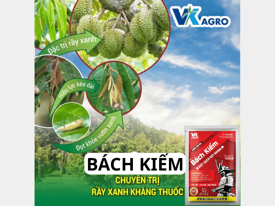 Thuốc trừ sâu đặc trị rầy cho sầu riêng & cây ăn trái 2025