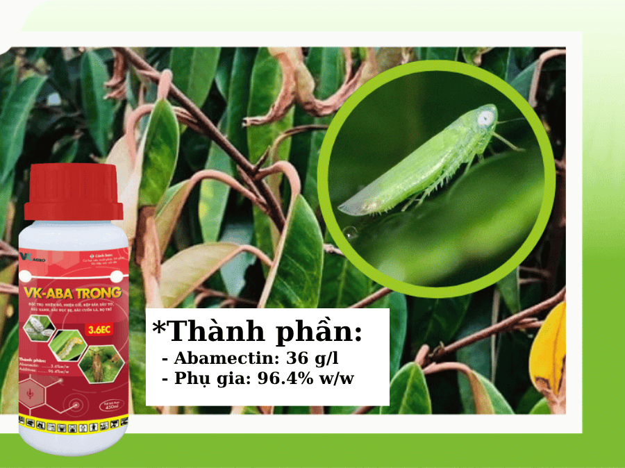 Thuốc trừ sâu VK - ABA TRONG