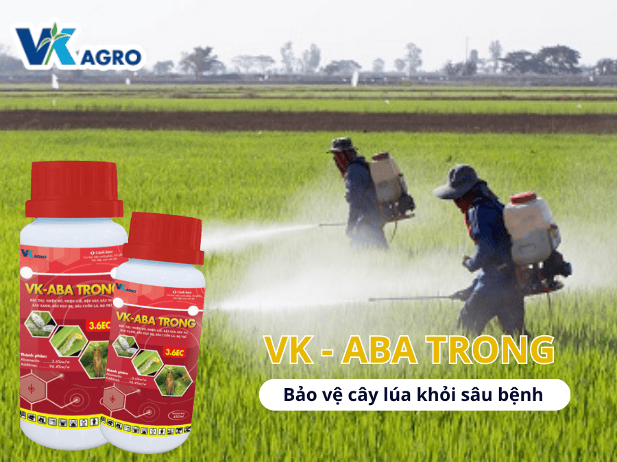 Thuốc trừ sâu VK - ABA TRONG